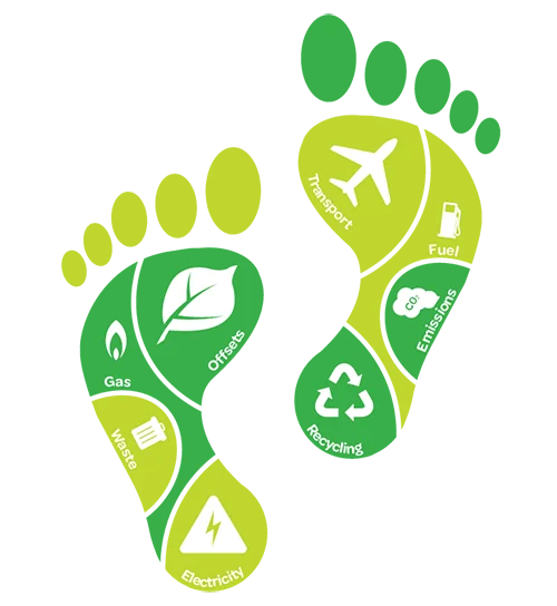 Carbon footprint diagram.png