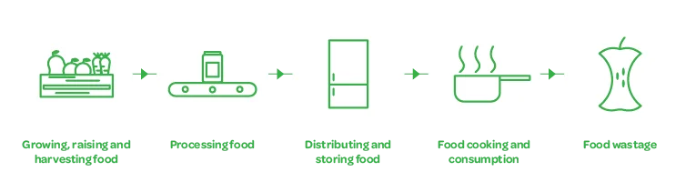 Food production cycle.png