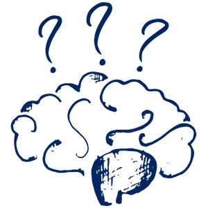 Brain