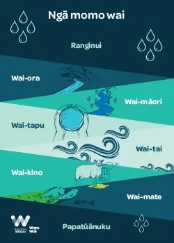 WP_Water Challenge_Ngā momo wai_Types of water_Poster_TN_250 x 350px_Te Reo